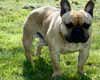 Mme MADER Marthe (prop.)