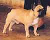 Mme HAYOT Barbara (prop.)