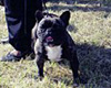 Mme POULAIN Josiane (prop.)