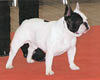 Mme MORIN Sylviane (prop.)