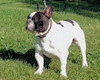 Mme CORMENIER Marie-Madeleine (prod./prop.)