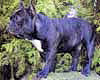 M. Mme QUENISSET Fabrice (prop.)