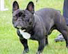 Mlle PITHOIS Chlo&eacute; (prop.)