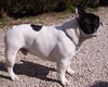 Mme DAUMAS Andr�e (prop.)
