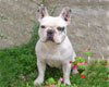 Mme SIMO Marie-H�l�ne (prop.)