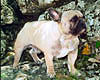 Mme PONCET-RAPASSE Fabienne (prop.)