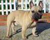 Mme CARRIE Annick (prop.)