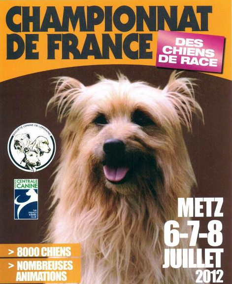 Affiche du Championnat de France 2012 à Metz