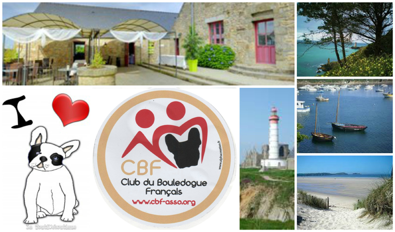 Journée amicale du CBF à Brélès (Finistère) le 6 juillet 2014