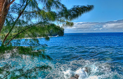 Bord de mer. Sainte-Rose (La Réunion)