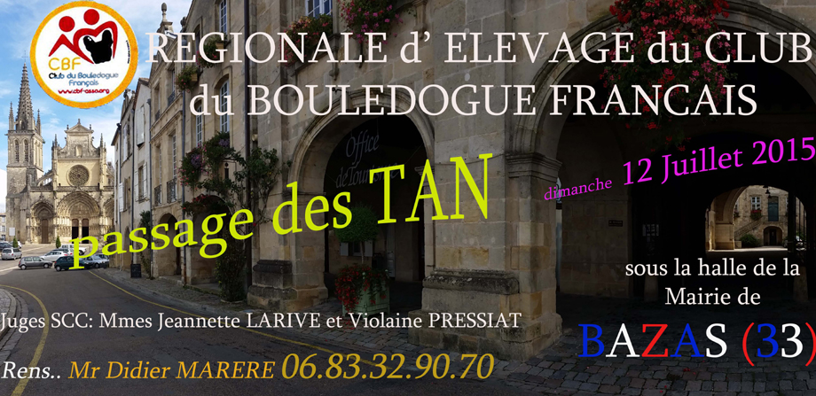 RE Bouledogue français - Bazas - 12 juillet 2015