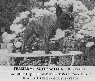 FRAZIER VD ZUYLENSTEDE