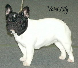 Voici Lily du Fiacre Montparnasse