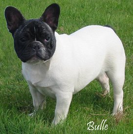 Bulle du Bois de Faitin