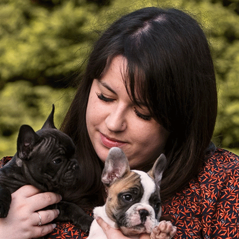 Commission de la Communication