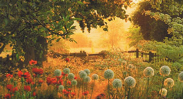Festival des Jardins de Chaumont-sur-Loire