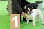 Ethel de la Combe d'Opale sur le podium