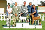 Fréjus de la Vallée de l'Iroise, meilleur chien de la Spéciale d'Aulnay de Saintonge