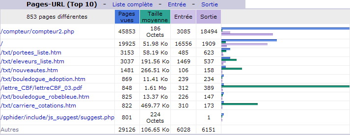 Février 2013. Top 10 des Pages vues.