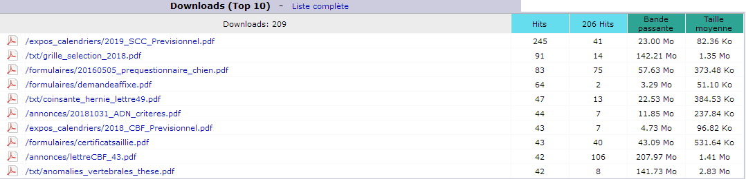 Décembre 2018. Top 10 des Pages téléchargées.
